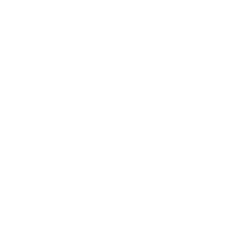 Discord Icon